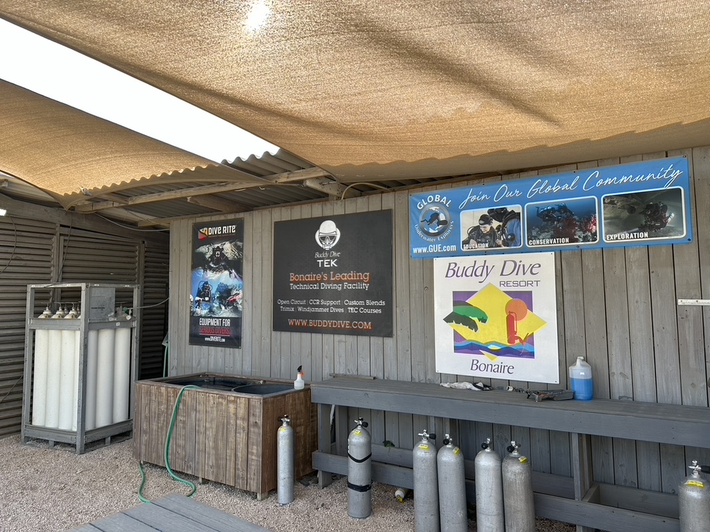 Inside a local dive shop