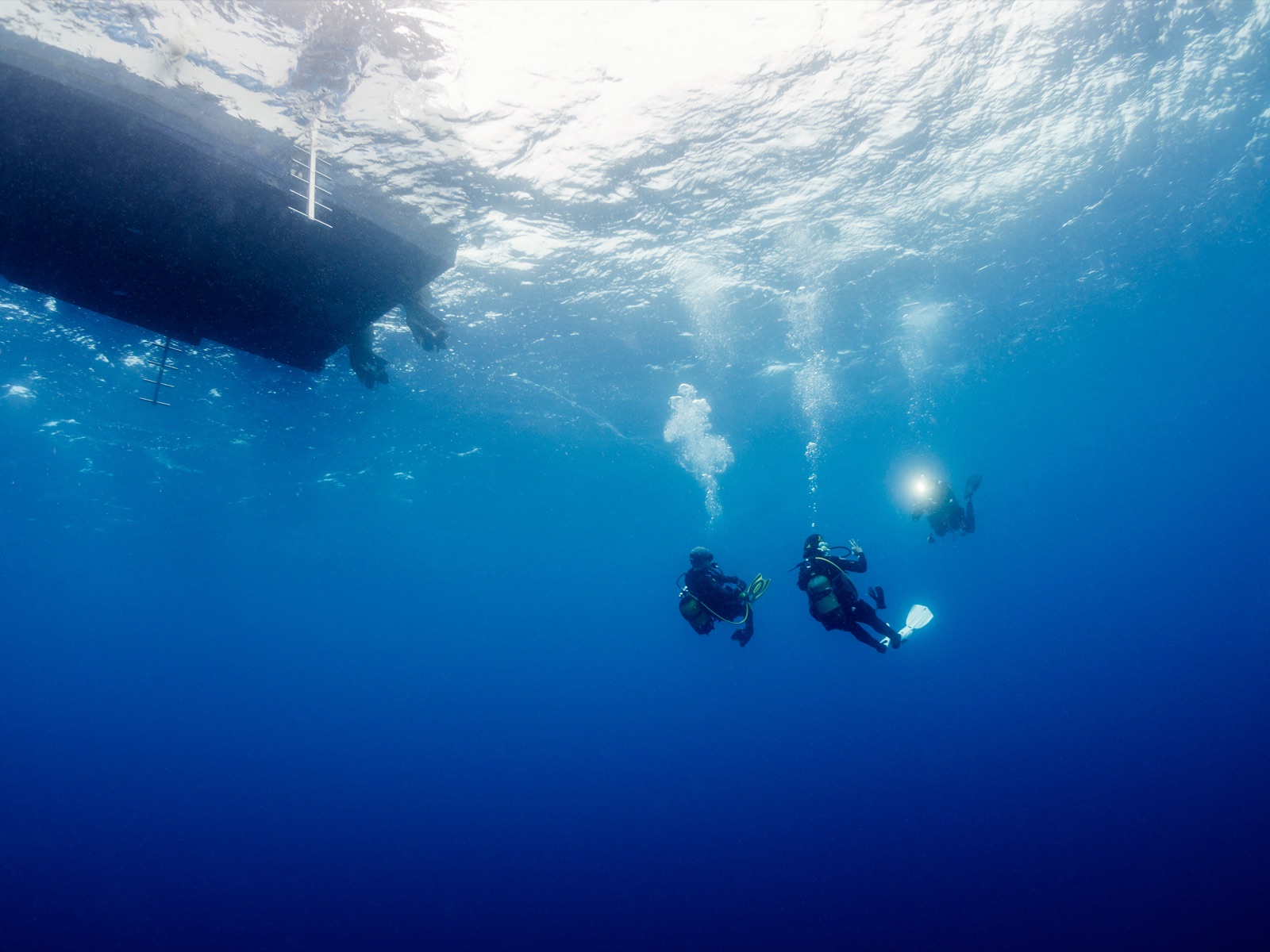 Drift diving the Palm Beach reefs