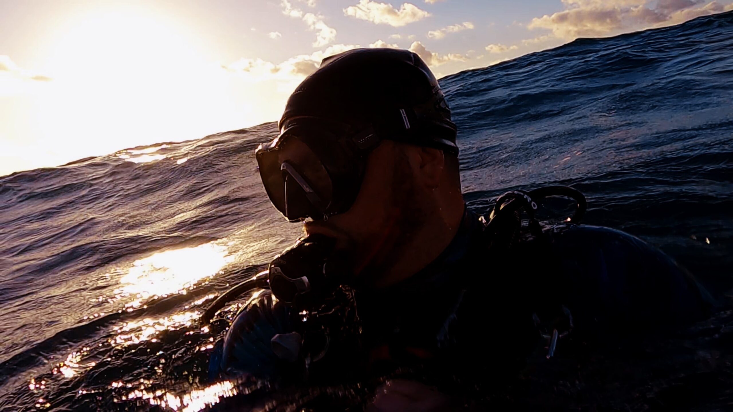 Diving in Jupiter Florida
